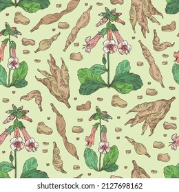 Seamless pattern with rehmannia glutinosa: rehmannia plant, leaves, rehmannia flowers and rehmannia glutinosa root. Cosmetic, perfumery and medical plant. Vector hand drawn illustration.