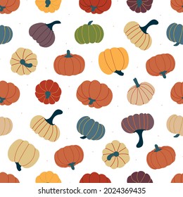 Seamless pattern with ripe multicolored pumpkins. Template for Thanksgiving, Halloween, Harvest. vector illustration 