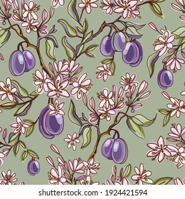 Seamless pattern with ripe plums, green branches, leaves and spring flowering. Herbarium on khaki background. Vector Victorian time background. Fresh fruit. Plum pattern. Plum vector.
