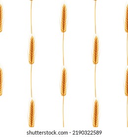Seamless pattern of ripe spikelets of wheat with grains,ears and stalks.Realistic illustration of seed plants,organic farming farming.