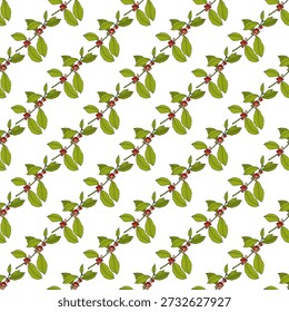 Seamless pattern with Robusta coffee (coffea canephora), Vector illustration