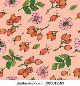 Seamless Pattern with Rosa canina . Detailed hand-drawn sketches, vector botanical illustration.