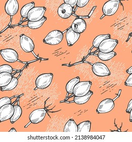 Seamless Pattern with Rosa canina . Detailed hand-drawn sketches, vector botanical illustration.