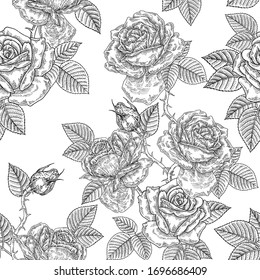 Patrón de flores de rosa sin foco. Rosas negras y blancas. Ilustración vectorial.