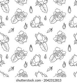 Nahtloses Muster mit Rosenblumen. Schwarz-Weiß-Kunstlinie, floraler Hintergrund. Vintage botanische Textur. Weißer Hintergrund.