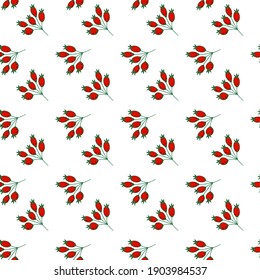 Seamless pattern with rose hips on a white background. Hand drawing. Vector.