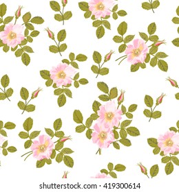 Seamless pattern of rose isolated on white background. Vector illustration.