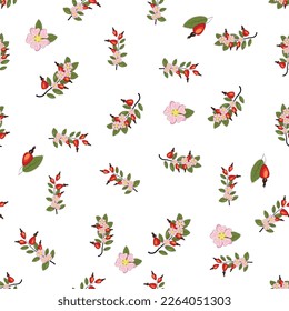 Seamless pattern with rosehip berries and flowers. Collection of various berries, herbs, twigs