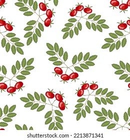 Seamless Pattern With Rosehip Berries And Leaf On White Background. Hand Drawn Ripe Wild Rose Fruit With Leaf. Medicinal Plant. Color Vector Illustration Of Dogrose.