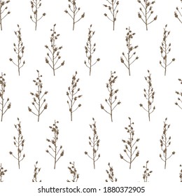 Patrón sin costura con ramas de cadera y bayas sobre blanco - fondo con siluetas de rosa silvestre para el diseño natural
