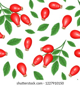 Seamless pattern with rosehip branches isolated on white background. Vector illustration of red berries and green leaves in cartoon simple flat style.