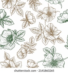 Patrón sin foco con flores de cadera. Impresión para tela y embalaje, papel de embalaje. Línea