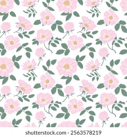 Seamless pattern with rosehip groves. Pink rose flowers on a white background. Buds, leaves, flowers. For Textile, Design, Packaging, Background