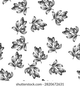 seamless pattern rosehip plant leaf hand drawn. rose hip, fruit berry, red fresh, briar tea, brier healthy rosehip plant leaf black sketch illustration