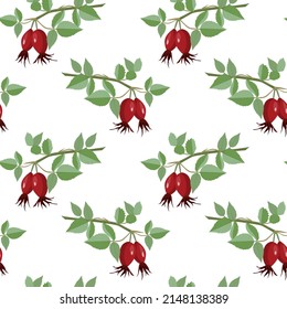 Seamless pattern of rosehip twigs with berries. Useful forest fruits and berries. Vector illustration for background, wallpaper, wrapping paper, print