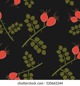 Seamless pattern rosehip, vector