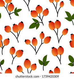 Seamless pattern with rosehips. Hand drawn vector illustration. Texture for print, textile, packaging.