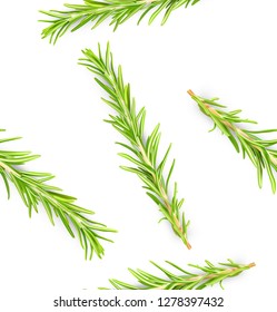 Seamless pattern of rosemary branch. Vector illustration isolated on white background. Can be used for your food design. EPS10.