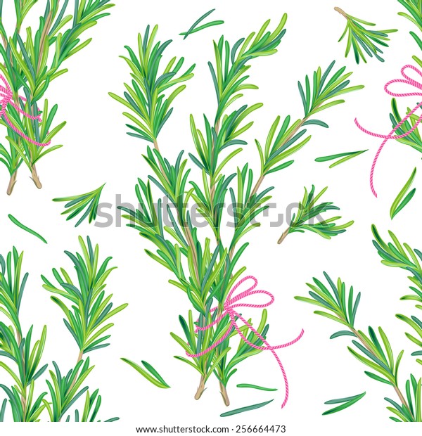 Download Seamless Pattern Rosemary Bundle Can Be Stock Vector Royalty Free 256664473