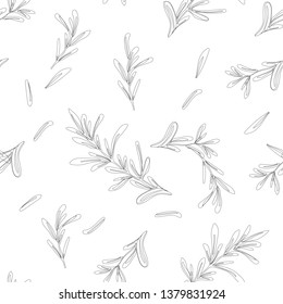 Seamless pattern with rosemary on white, background of spices, wallpaper with rosemary branches
