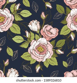 Seamless pattern with roses. Design of fabric, packaging, wrapping paper. Vector illustration on a dark blue background.