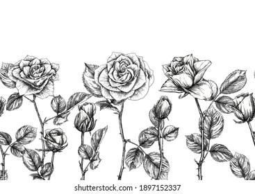 Seamless pattern with roses flowers. Colored vector illustration. In black and white graphic