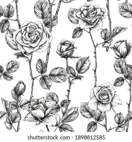 Seamless pattern with roses flowers. Colored vector illustration. In black and white graphic