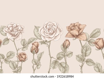 Seamless pattern with roses flowers. Colored vector illustration. In beige vintage colors