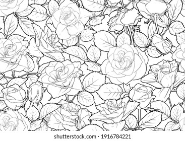 Seamless pattern with roses flowers. Outline vector illustration. In black and white, isolated on white background.