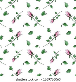 Seamless pattern. Roses, leaflets, thorns. Vector illustration on a white background. Use for printing wallpapers, backgrounds, fabrics, packaging, postcards.