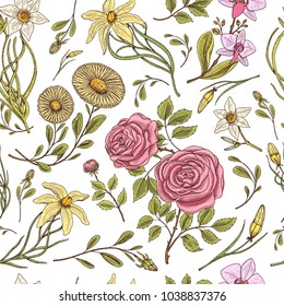 Seamless pattern. Roses with leaves and buds. Wedding botanical flowers in the garden or spring plant. ornament or decor. engraved hand drawn in old victorian sketch.