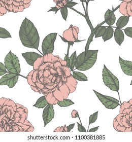 Seamless pattern with roses. Vintage design in sketch style. Hand-drawn vector illustration
