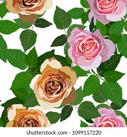 Seamless pattern with roses. Vintage floral background. Vector illustration