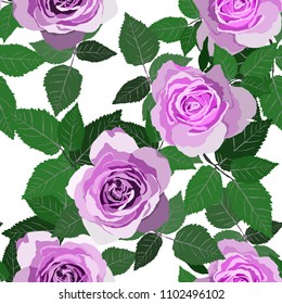 Seamless pattern with roses. Vintage floral background. Vector illustration
