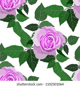 Seamless pattern with roses. Vintage floral background. Vector illustration
