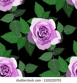 Seamless pattern with roses. Vintage floral background. Vector illustration
