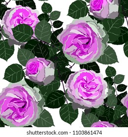 Seamless pattern with roses. Vintage floral background. Vector illustration
