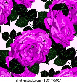 Seamless pattern with roses. Vintage floral background. Vector illustration
