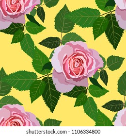 Seamless pattern with roses. Vintage floral background. Vector illustration
