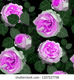 Seamless pattern with roses. Vintage floral background. Vector illustration
