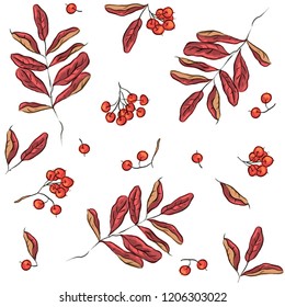 Seamless pattern with rowan and autumn leavs