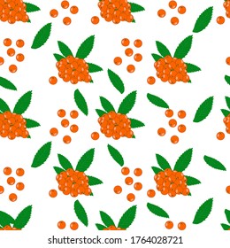 Patrón sin mar con bayas de rowan aisladas sobre fondo blanco. Patrón de otoño con bayas y hojas. Día de Acción de Gracias, Navidad o diseño de empaque. Fondo floral de caída.Ilustración vectorial de acciones