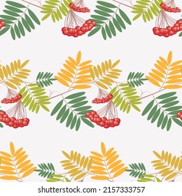 Seamless pattern of rowan branches with ripe berries