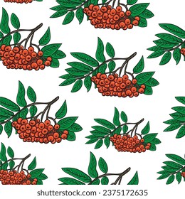 Seamless pattern, rowan branches and twigs with leaves on a white background. Autumn print, textile or background