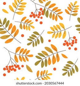 Seamless pattern with rowan leaves and berries in autumn colors