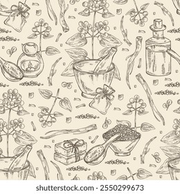 Motif harmonieux de rubia cordifolia: rubia cordifolia plante, feuilles, baies de manjishta et racines de rubia cordifolia. Manjishta. Huile, savon et sel de bain. Cosmétiques et plantes médicales. Image vectorielle