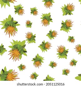 Patrón sin foco. Buda de azafrán, Carthamus tinctorius, una planta de aceite. ilustración de color en un fondo blanco. Ilustración de vector botánico dibujada a mano. Diseño para el embalaje de papel y tela.