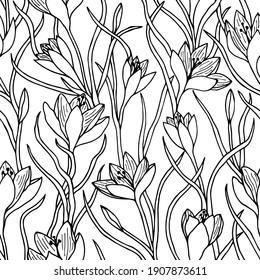 Patrón sin foco de flores de azafrán, crocus. Recorte de material vectorial eps10. Aislar sobre fondo blanco, contorno. 