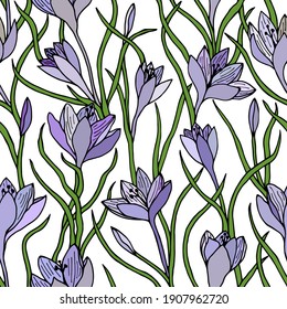 Seamless pattern of saffron flowers, crocus. Vector stock drawing eps10. Isolate on white background