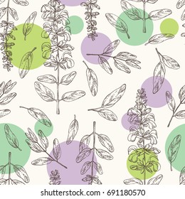 Seamless pattern with sage, branch of sage, leaves and flowers. Cosmetic, perfumery and medical plant. Vector hand drawn illustration.